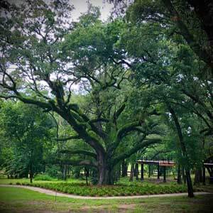 Scenic Bonnet Springs Park in 2022