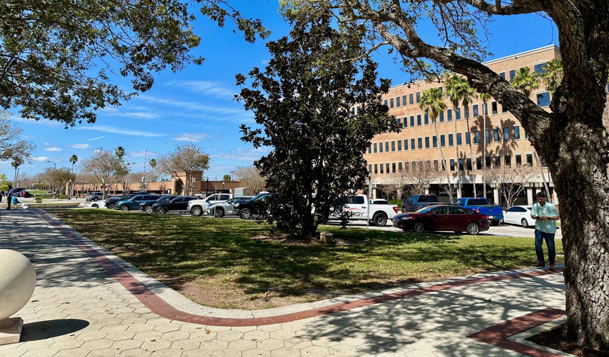 Munn Park's northeast corner