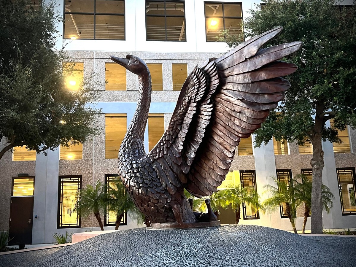 A bronze swan sculpture donated by the Wolfson family sits in Lake Mirror's scenic Overlook Park. 2023. | Kimberly C. Moore, LkdlNow
