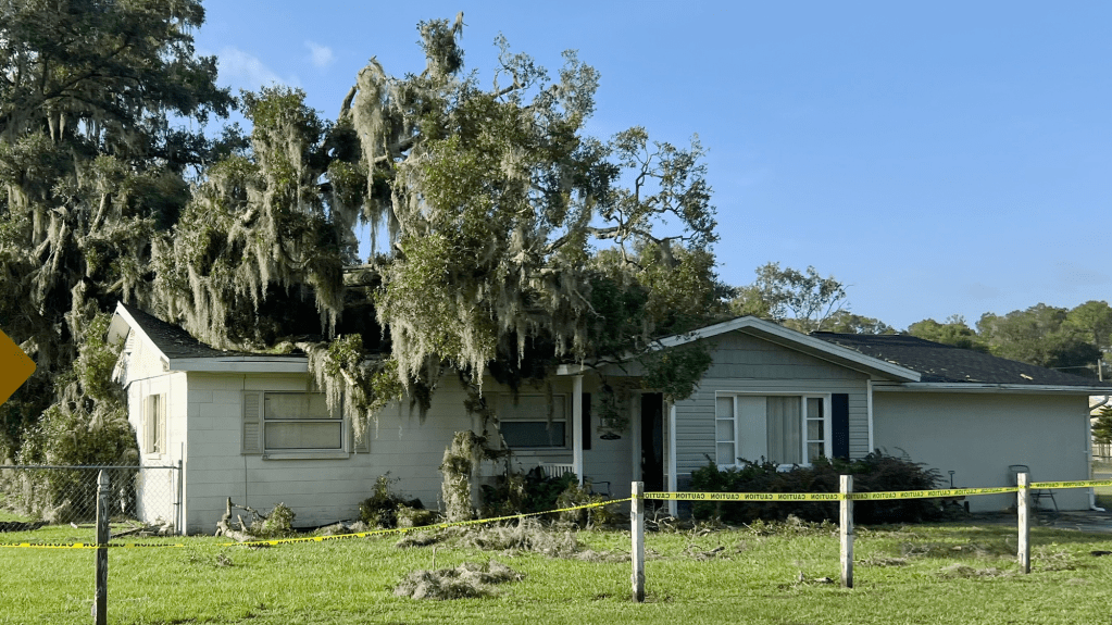 tree on house