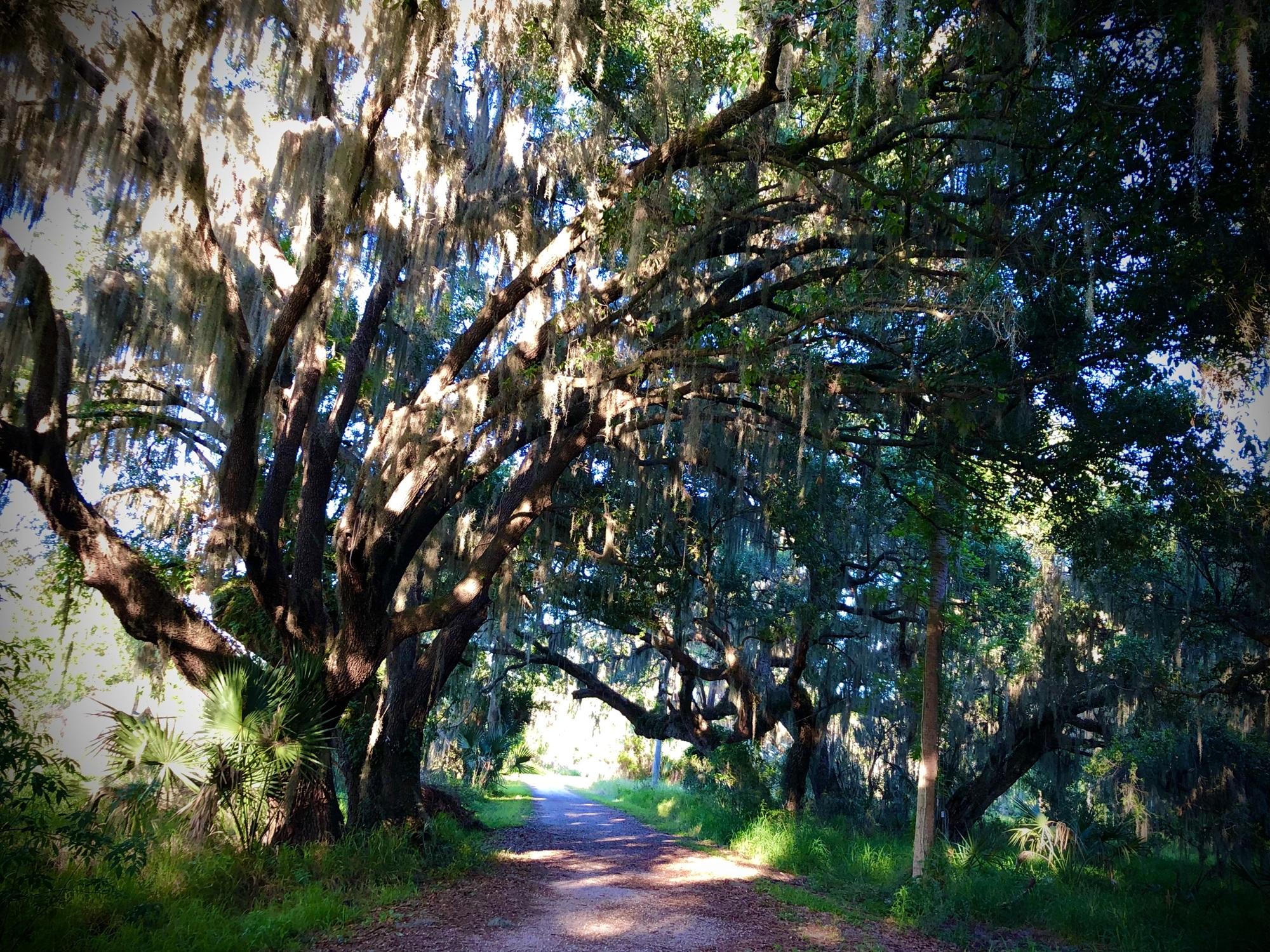 Circle B Bar Reserve